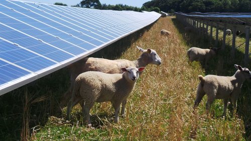 Solar farm